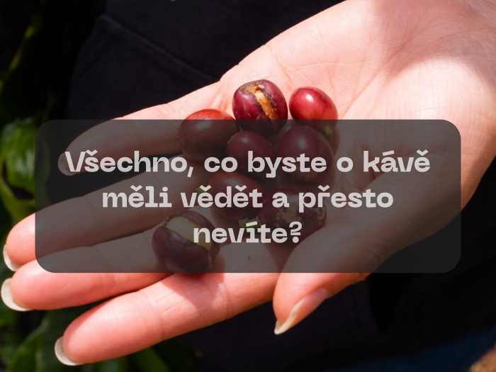Všechno, co byste o kávě měli vědět a přesto nevíte